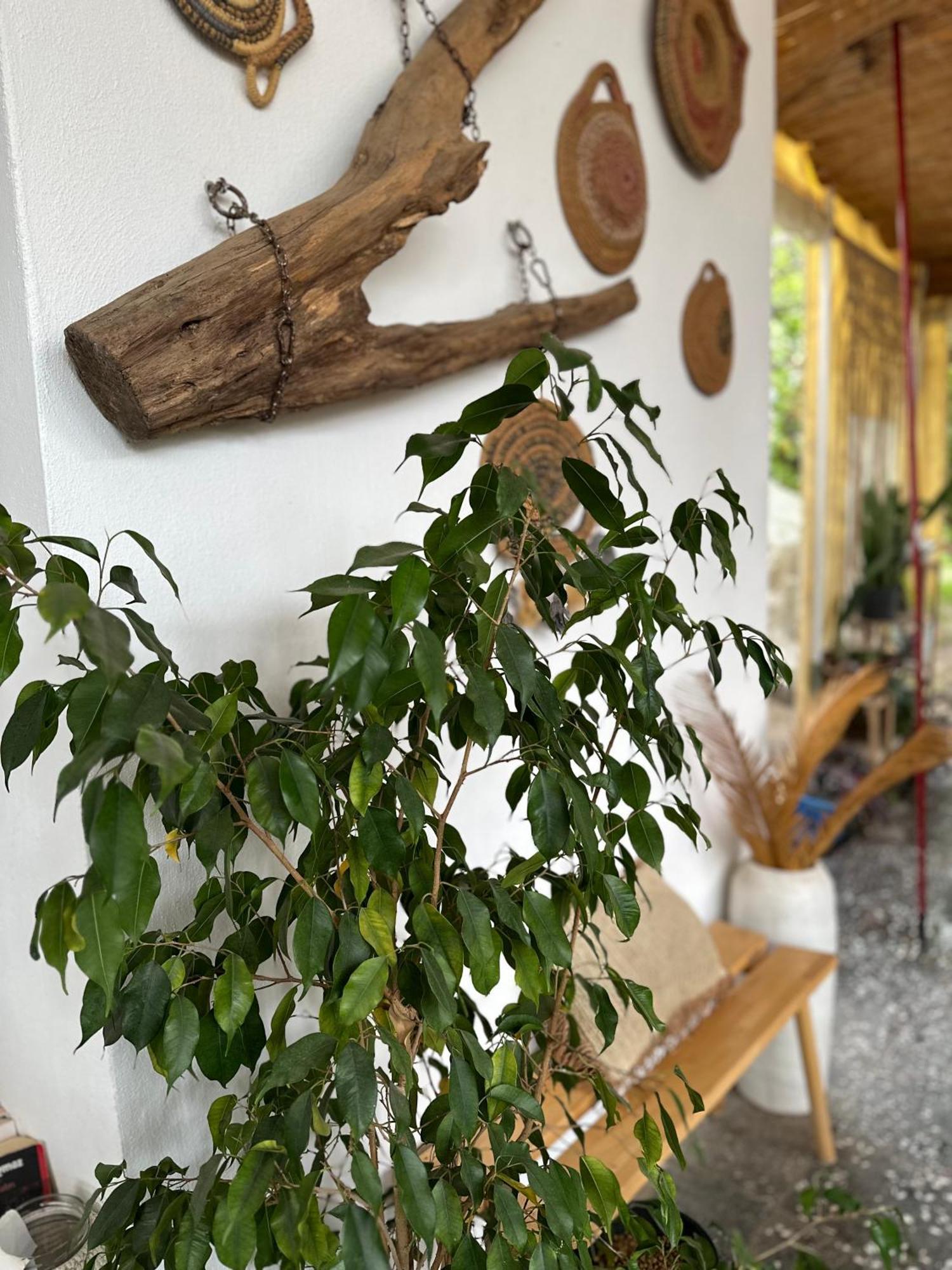 L'Onda Oda Bodrum Ngoại thất bức ảnh
