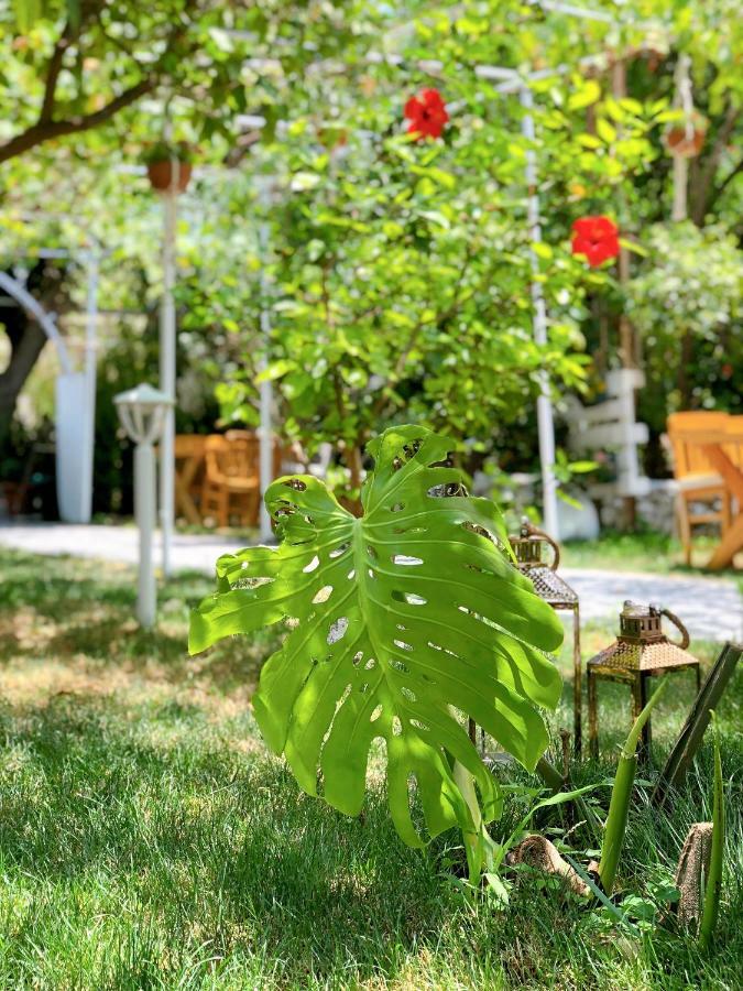 L'Onda Oda Bodrum Ngoại thất bức ảnh