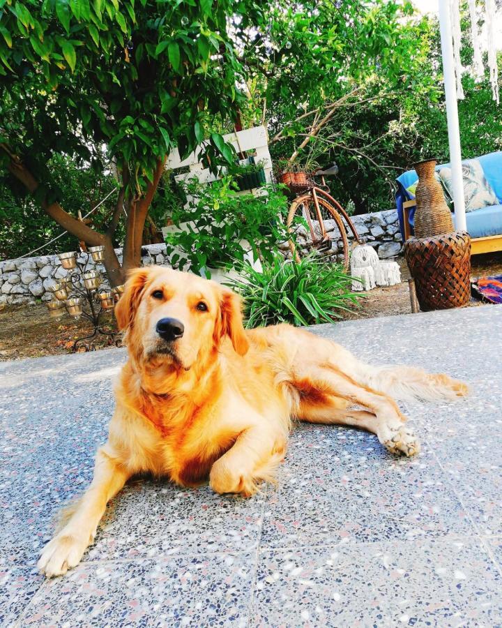 L'Onda Oda Bodrum Ngoại thất bức ảnh
