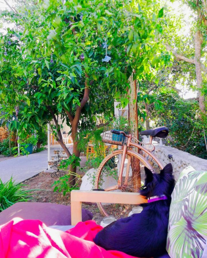 L'Onda Oda Bodrum Ngoại thất bức ảnh